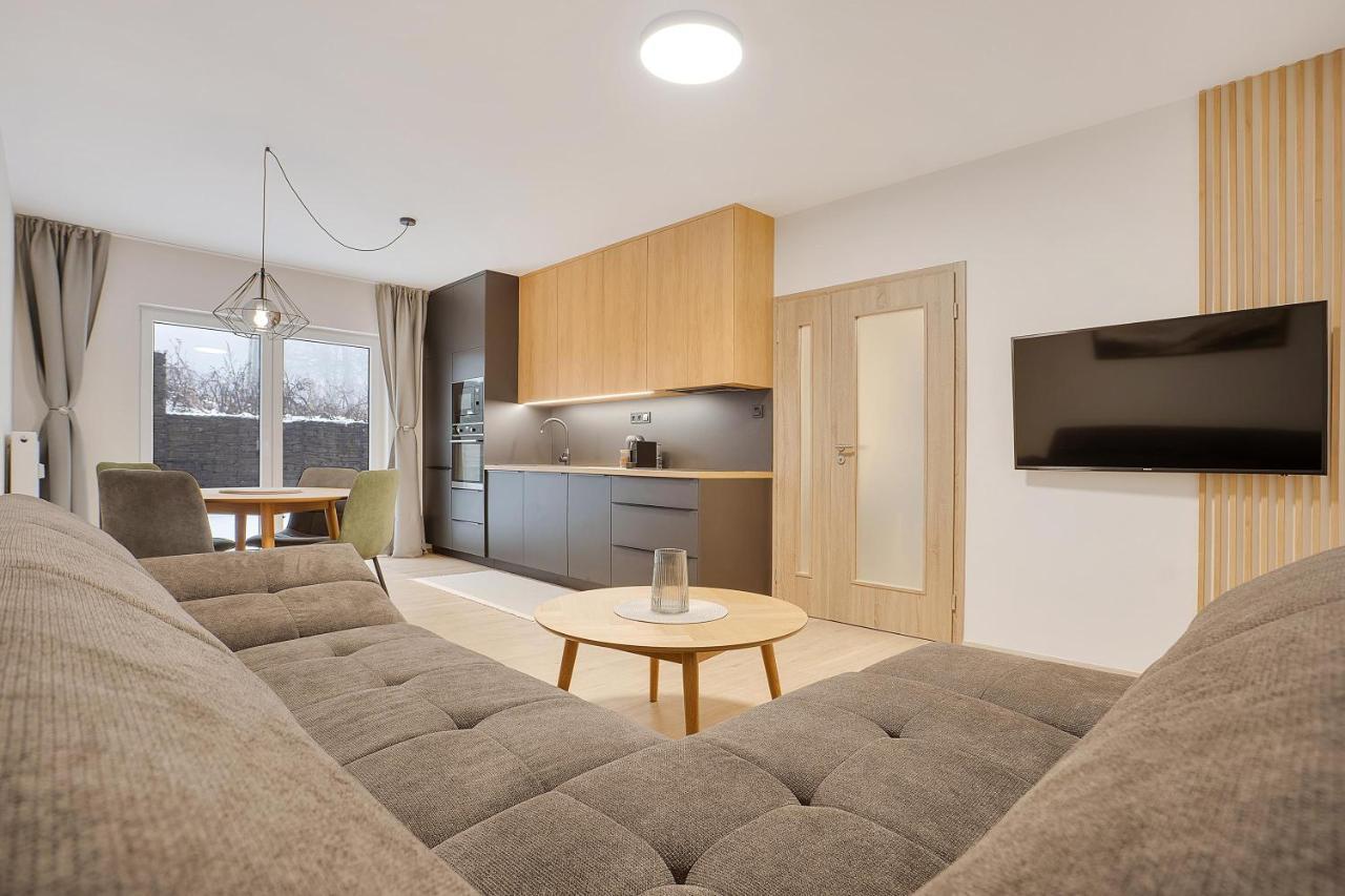 Krusnohorske Strane Apartamento Loučná pod Klínovcem Exterior foto