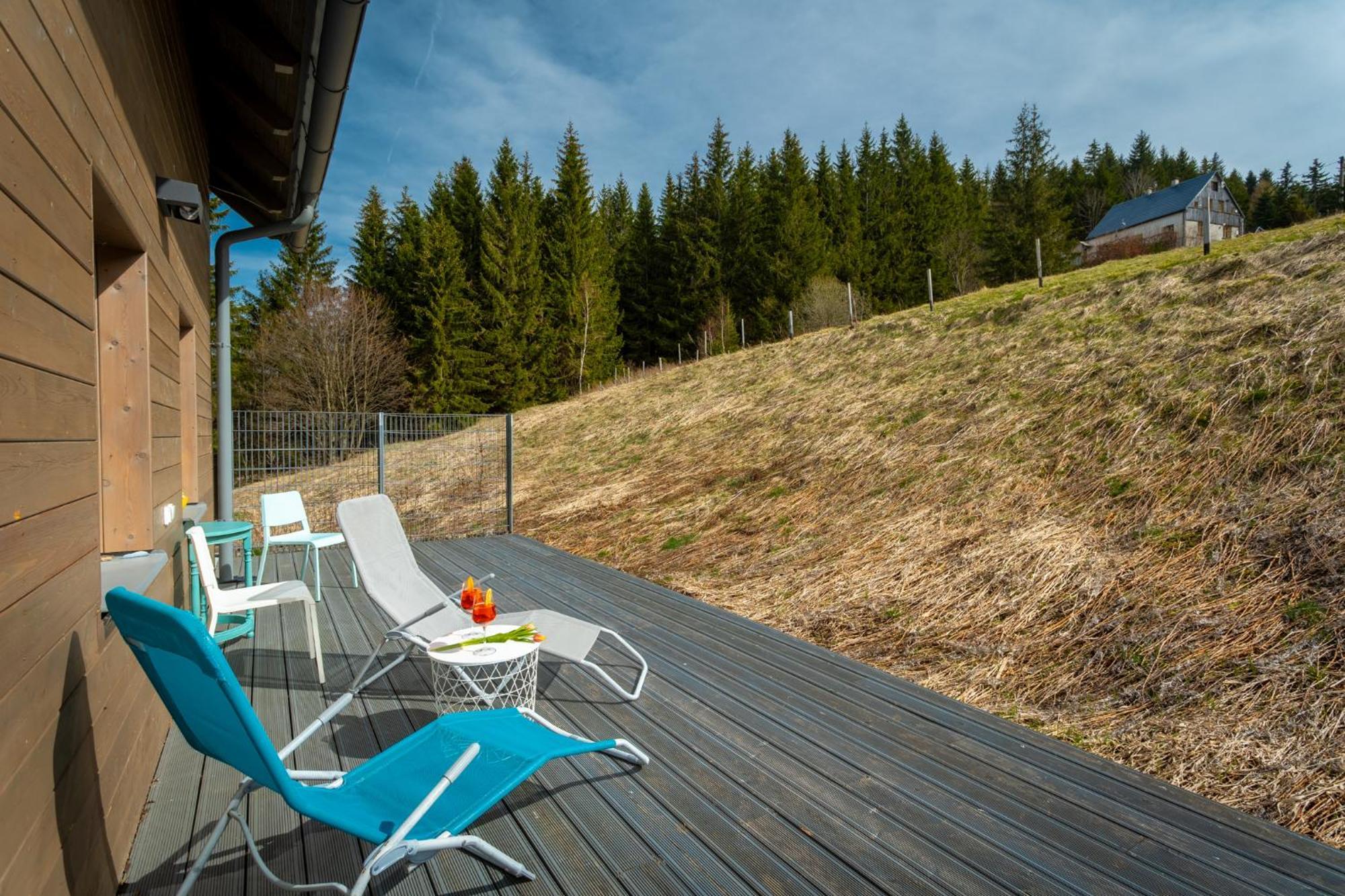 Krusnohorske Strane Apartamento Loučná pod Klínovcem Exterior foto